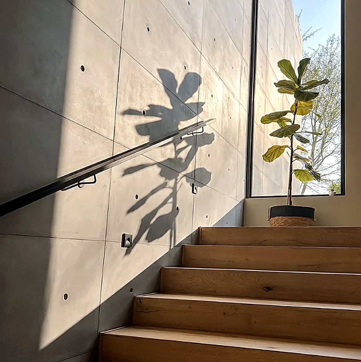Placas de concreto con la sombra de una planta sobre la escalera